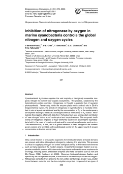 Inhibition of nitrogenase by oxygen in marine cyanobacteria controls