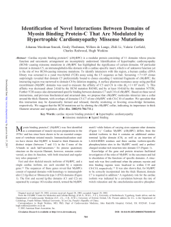 Identification of Novel Interactions Between Domains of Myosin