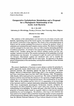 Comparative Carbohydrate Metabolism and a