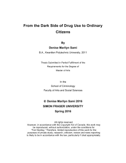 From the Dark Side of Drug Use to Ordinary Citizens