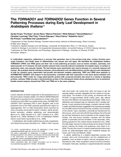The TORNADO1 and TORNADO2 Genes Function in Several