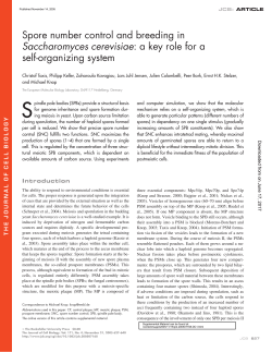 Spore number control and breeding in Saccharomyces cerevisiae: a