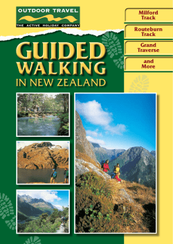 milford track - Outdoor Travel