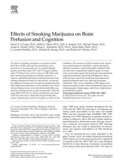 Effects of Smoking Marijuana on Brain Perfusion and