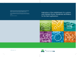 Implications of the Establishment of a Customs Union between