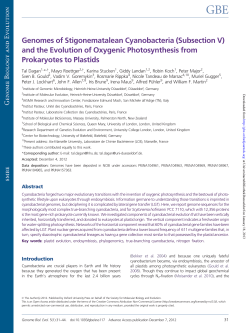 Genomes of Stigonematalean Cyanobacteria (Subsection V) and