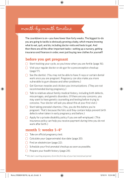 month-by-month timeline