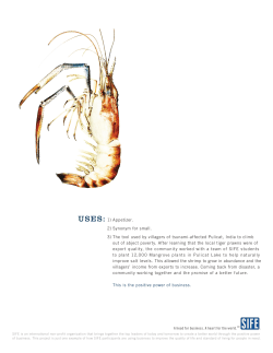 USES: 1) Appetizer. 2) Synonym for small. 3) The tool