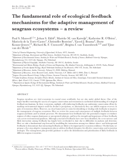 The fundamental role of ecological feedback mechanisms for the