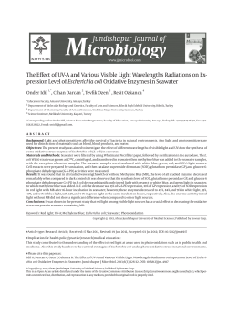 The Effect of UV-A and Various Visible Light Wavelengths