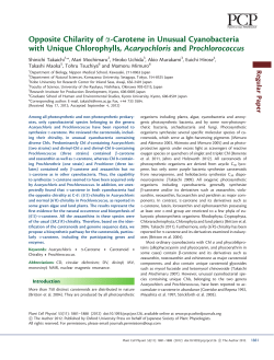 Opposite Chilarity of a-Carotene in Unusual Cyanobacteria with
