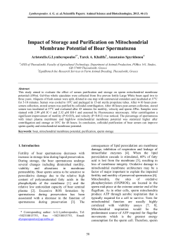 Impact of Storage and Purification on Mitochondrial Membrane