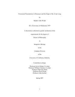 PDF only - at www.arxiv.org.