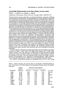 Acid-Soluble Ribonucleotides in the Brine Shrimp (Artemia salina)