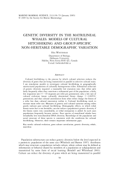 genetic diversity in the matrilineal whales: models