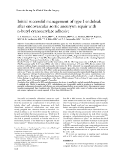 Initial successful management of type I endoleak after endovascular