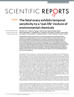 The fetal ovary exhibits temporal sensitivity to a `real