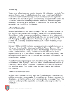 Asian Carp “Asian carp” refers to several species of