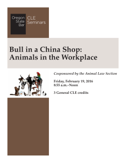 Bull in a China Shop: Animals in the Workplace
