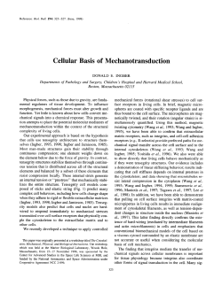 Cellular Basis of Mechanotransduction