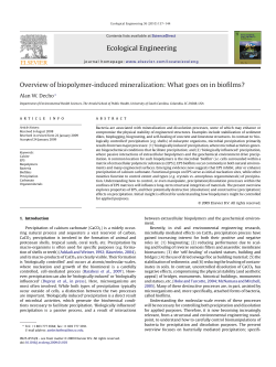 Ecological Engineering Overview of biopolymer