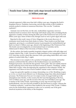 See press release