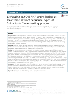 Escherichia coli O157:H7 strains harbor at least three distinct