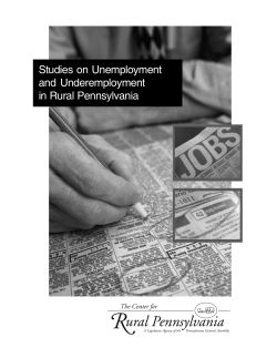 Studies on Unemployment and Underemployment in Rural