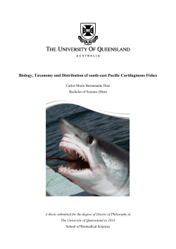 Biology, Taxonomy and Distribution of south-east Pacific