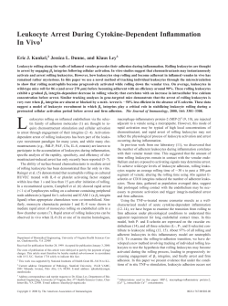 Leukocyte Arrest During Cytokine