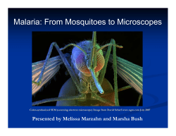 Malaria: From Mosquitoes to Microscopes