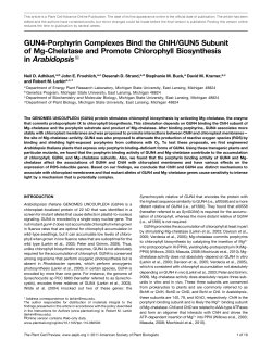 GUN4-Porphyrin Complexes Bind the ChlH/GUN5