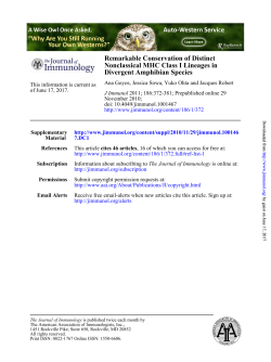 Divergent Amphibian Species Nonclassical MHC Class I Lineages