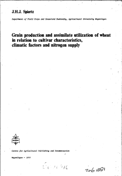 Grain production and assimilate utilization of wheat in relation to