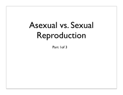 Asexual vs. Sexual Reproduction