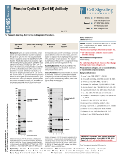 13495 - Cell Signaling Technology