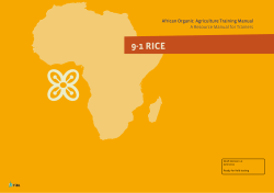 9-1 RICE - Organic Africa