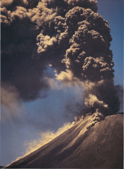 Chapter 2 - New Zealand Society of Soil Sciences