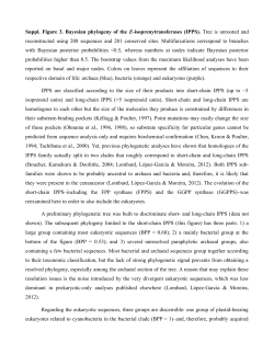 Suppl. Figure 3. Bayesian phylogeny of the E