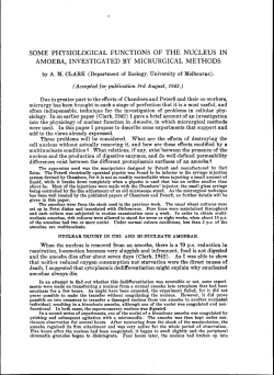 some physiological functions of the nucleus in amoeba