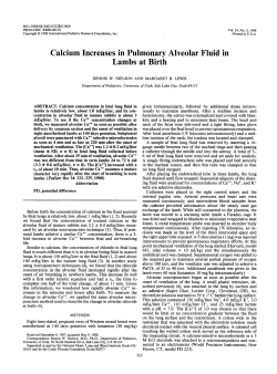 Calcium Increases in Pulmonary Alveolar Fluid in Lambs at