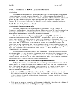 Simulations of the Cell Cycle and Inheritance