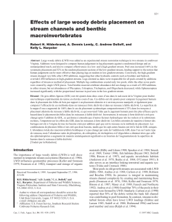 Effects of large woody debris placement on stream