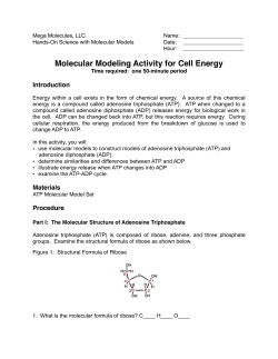Cell Energy Activity