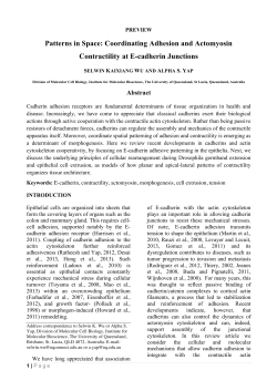 PDF only - at www.arxiv.org.