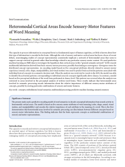 Heteromodal Cortical Areas Encode Sensory