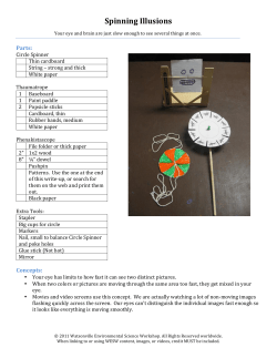 Spinning Illusions - Community Science Workshop Network