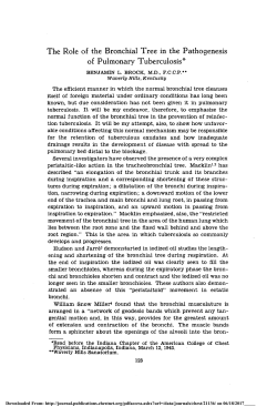 The Role of the Bronchial Tree in the