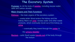 The Excretory System