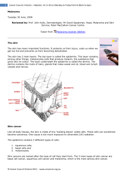 Melanoma 2 page pdf